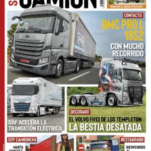 Solo Camión 399